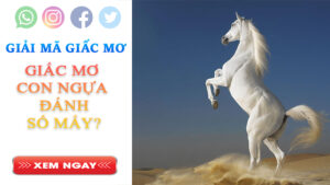 Giải mã con ngựa đánh số mấy