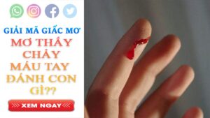 Mơ thấy chảy máu tay đánh con gì?